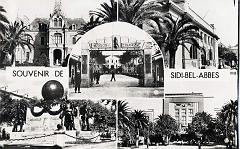 Sidi-bel-abbès 536- Souvenir